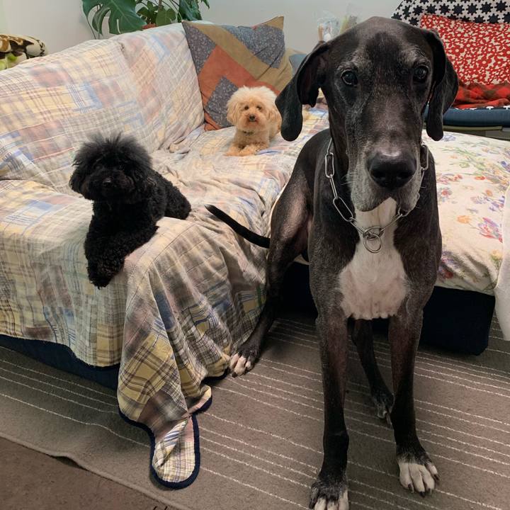 31b33e43 0307 487c 82fb 5f497cd4031b 1568932801806