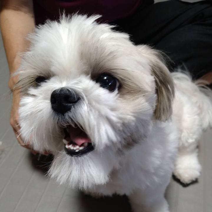 31b35e9c 15c9 4dc2 8d48 e9d6a0e0d610 1660188634904