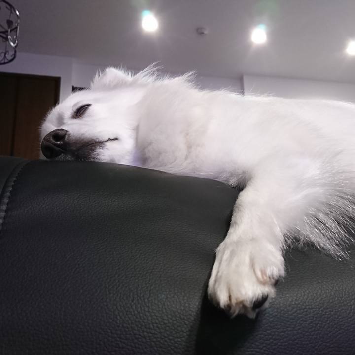 31b361d9 125b 4b70 bd96 62b430b0246c 1525782626148