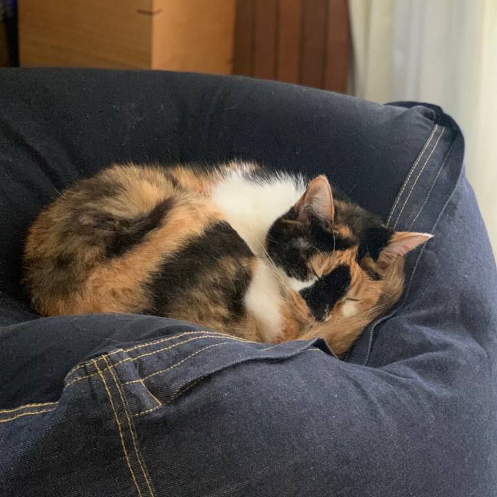 31b385bb 1c3f 4ced ad49 4d938896b8a4 1766503059695