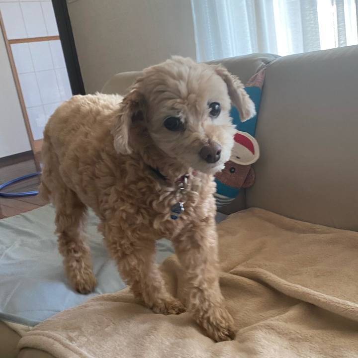 31b391b2 d1b4 4148 bf22 072969fe014a 1651900603663