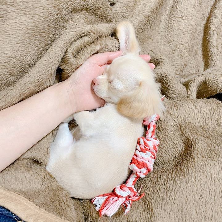 31b49586 8503 4f26 86f0 74eea08ebc53 1592475506721