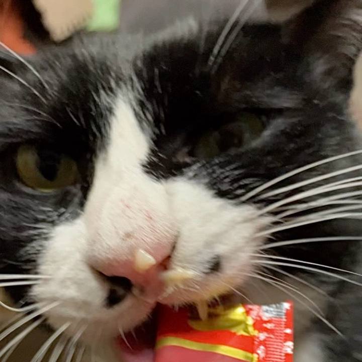 31b4b17e f6f4 48fb 9150 e4f8d6ddf8b6 1738806480116