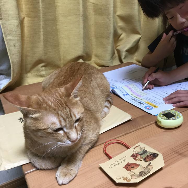 31b5247a 9d74 4a6a 8ca9 93da0cb5ab3e 1563798784110