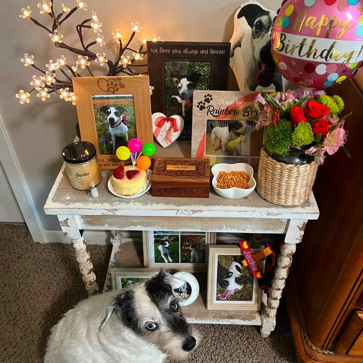 31b52dd0 ee43 4eb0 a147 378ef5ccc727 1724190951216