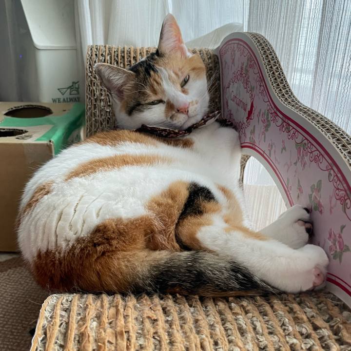 31b53439 4781 4db6 a3ad b3af88da6d16 1747470898569