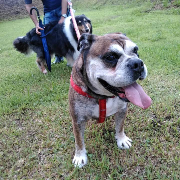 31b537bb 83ec 4d7c 8c1f 71923630c86d 1563537172688