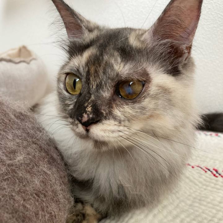 31b5a4bb f775 4a2c b29f 938ead6759b0 1720227099150