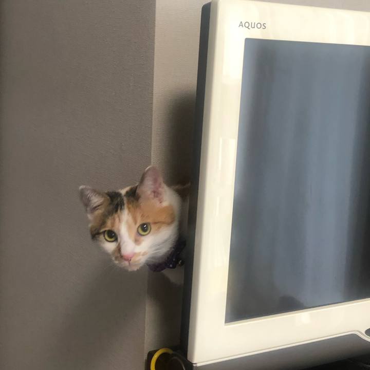 31b619b8 b1d5 4a48 a26d 0189a9fa5051 1603928155803