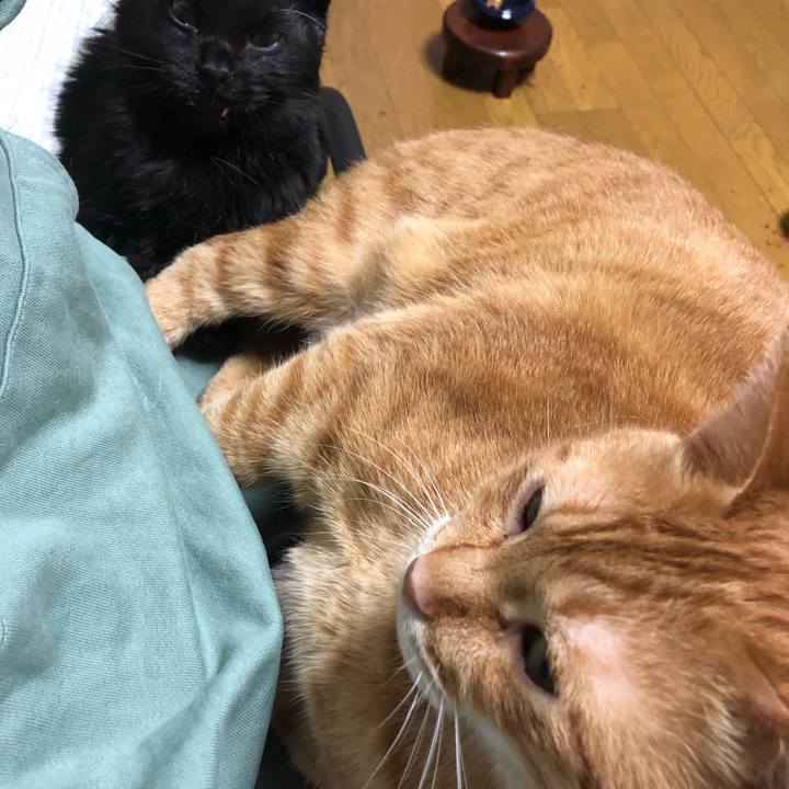 31b62254 75ce 4e95 bef3 dc10d75a4158 1646143603249