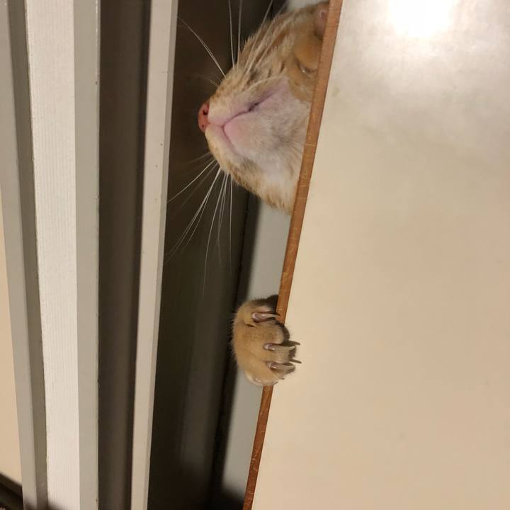 31b66af3 e7f1 4442 9c42 75a6212eab8d 1518602374208