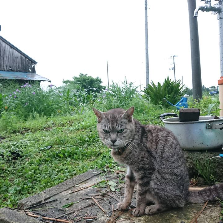 31b67642 39f9 496a bc64 986f613b55e0 1593981052503