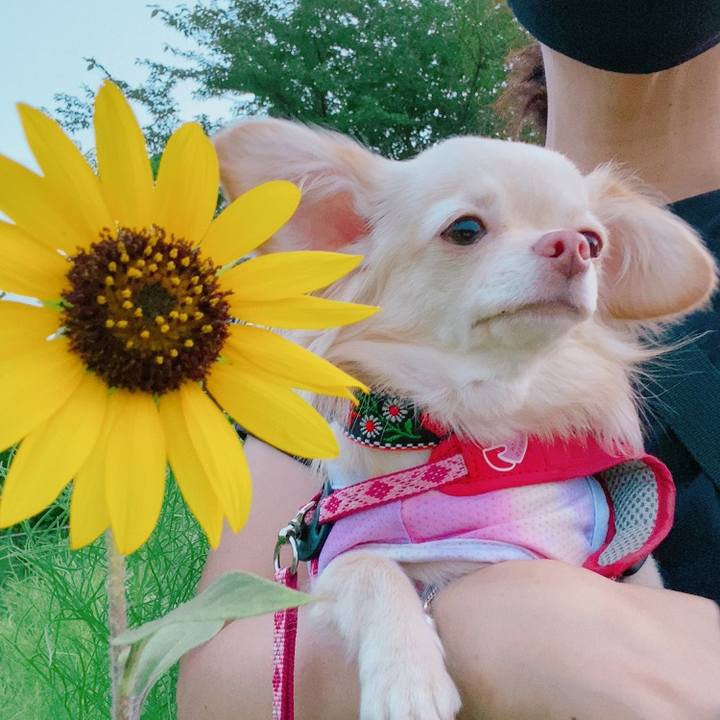 31b68a7f 6fc1 447c 8a11 59e763229421 1627295712410