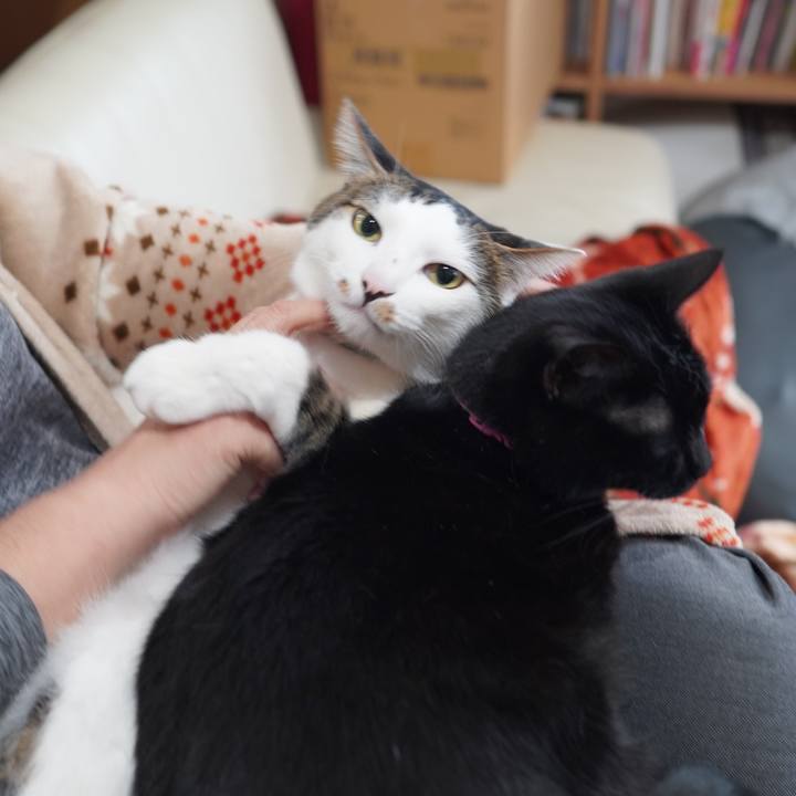 31b69e53 7163 47fa babb 9f58344f4750 1614949110446