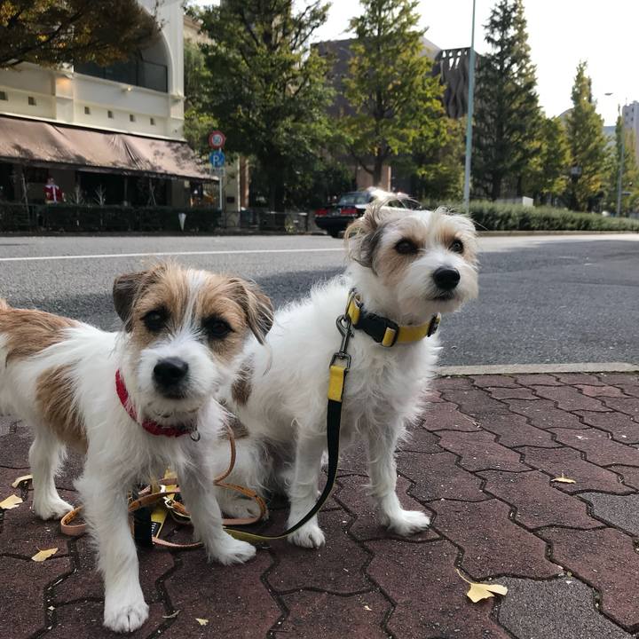 31b6de48 5b01 4dd2 9342 4c247900cea3 1764164198549