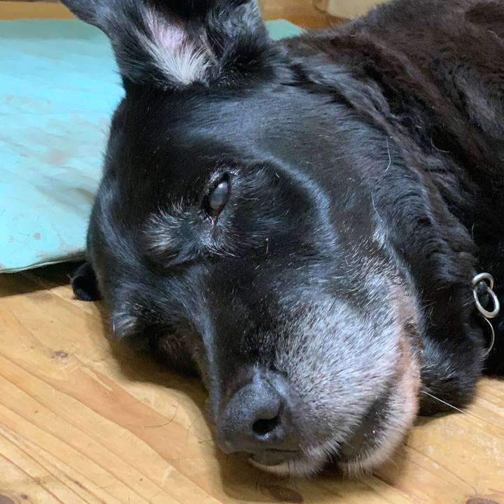 31b7233b 00a8 43e7 be99 f221abbaae97 1627797188986