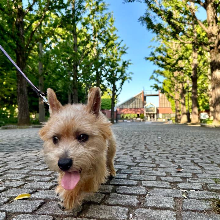 31b73b66 e354 43df b58c 3b2c5fe5ac2e 1715443103984