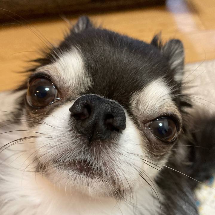 31b7779d df12 41f4 9876 5ed8b6d588a5 1705705292930