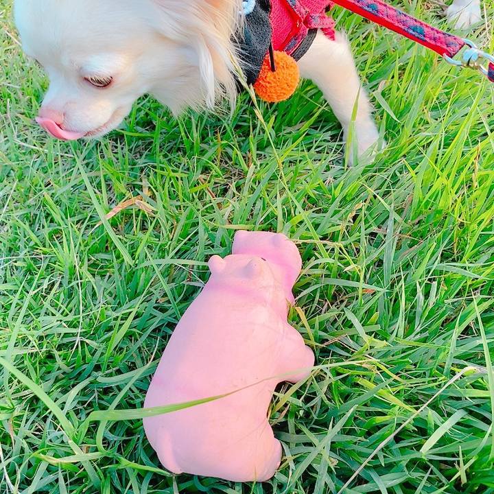 31b7d4c0 d06c 4854 96f2 0a8be6cdd394 1624453888467