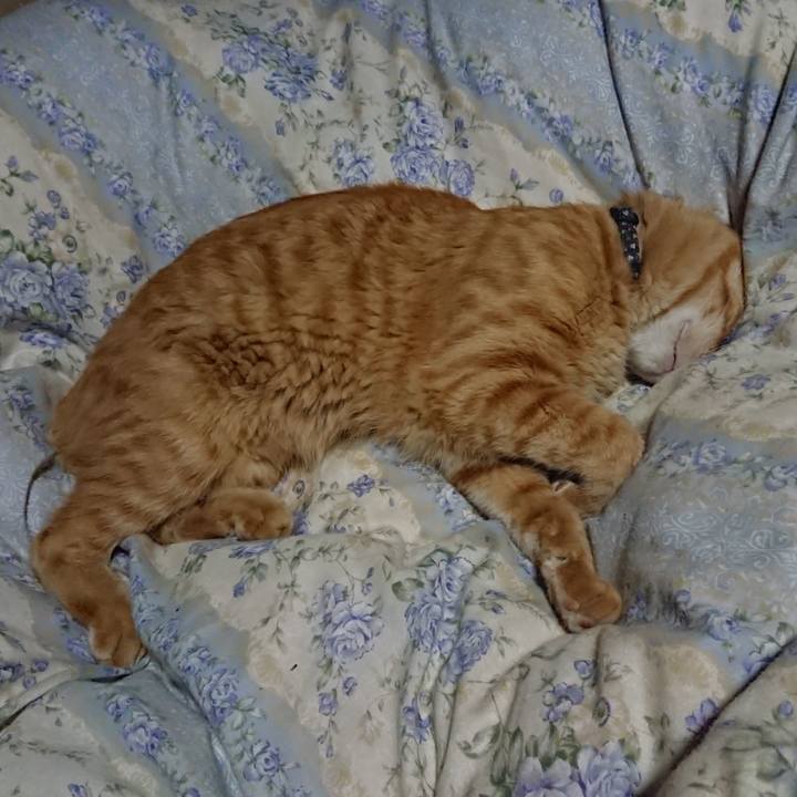 31b7d534 2d0a 4bd9 be77 6e2c61b55b44 1663158496408