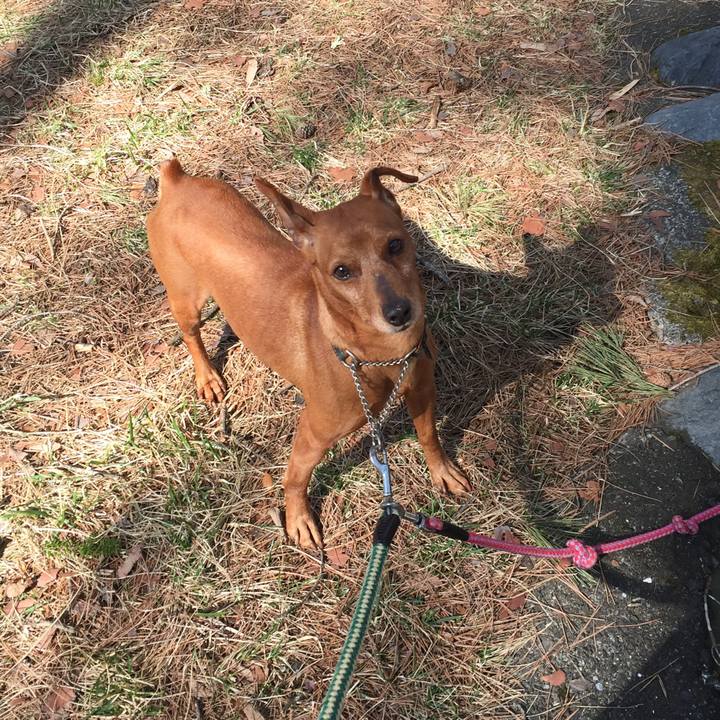 31b7f7b5 00d0 4bf5 9cbe aea328dd1164 1521351528553