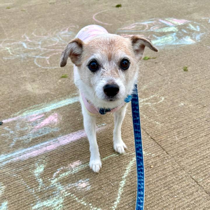 31b87afe 6661 4f1c a714 72ff38801722 1727739303516