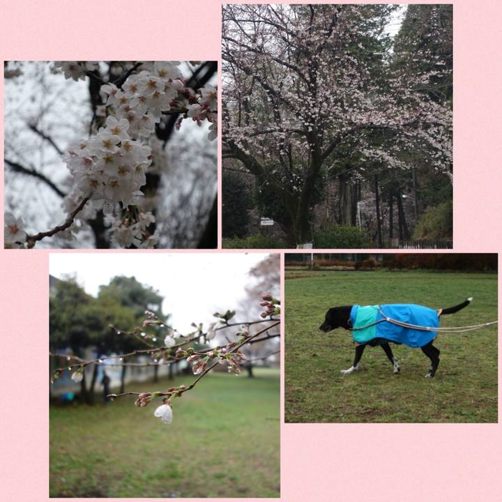 31b87e0a 653e 4a2f 8abd 47f3d94dec99 1679098392039