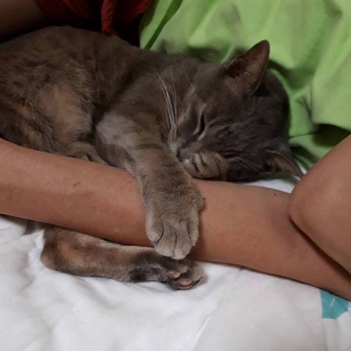 31b89227 158a 44bd 9e00 10cf6d900737 1628083477162