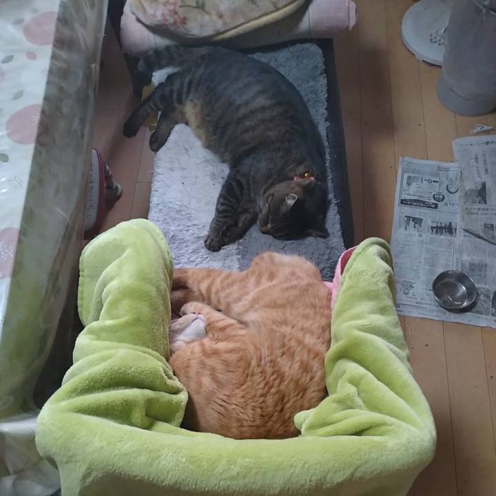 31b89ade b488 4c3a 9751 0d0391d58a76 1668223121808