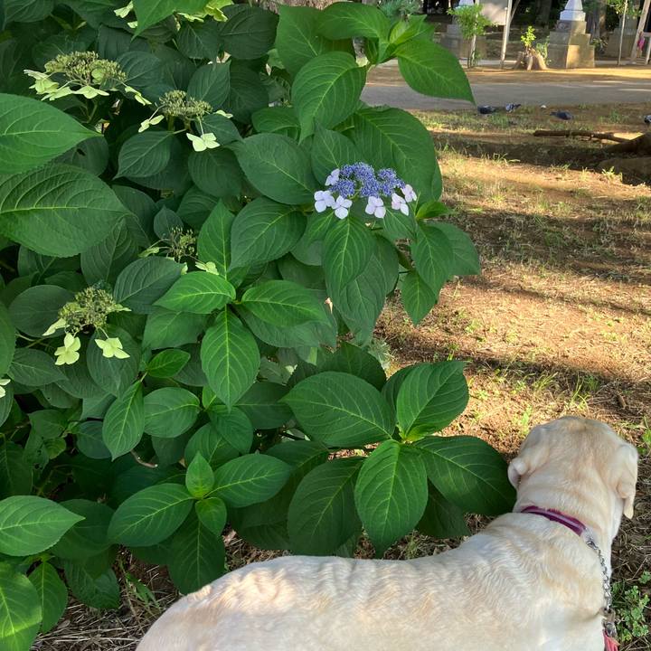 31b8ae00 aeda 498e b852 3e4f0fde0c89 1688948382054