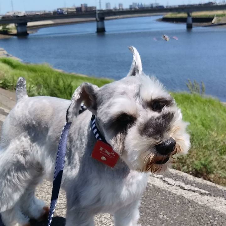 31b8bad7 93cd 4e01 bbf3 4ae22ac75015 1557292463291