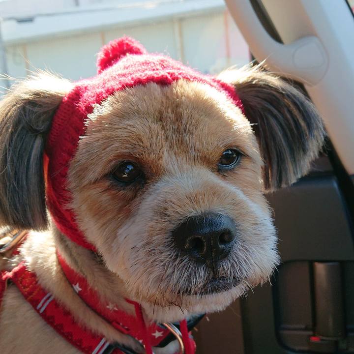 31b8bcb9 79a7 45a1 827c 12e1a75ad266 1572927246607