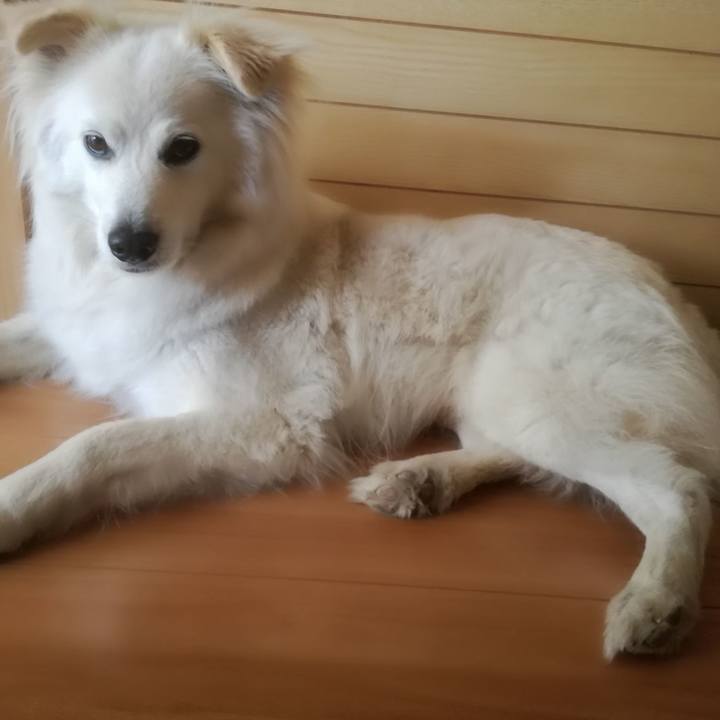 31b8e983 b622 481d a720 b61bf2c3a9f2 1525494245697