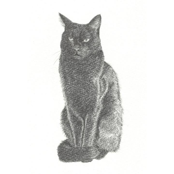 31b8f3af ea95 46ec aee4 ef793dbc957c 1540552819567