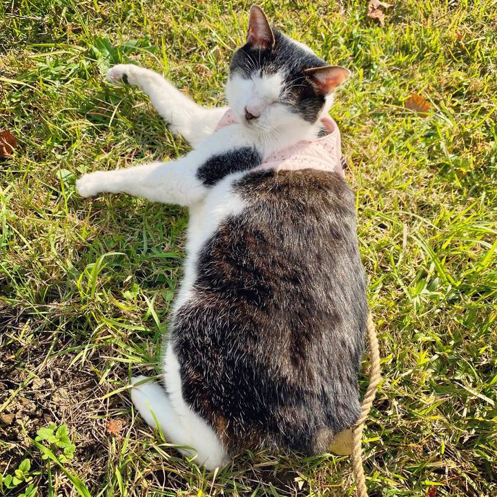 31b918e7 9615 4833 b1a8 82a0b27ba89f 1606364971622