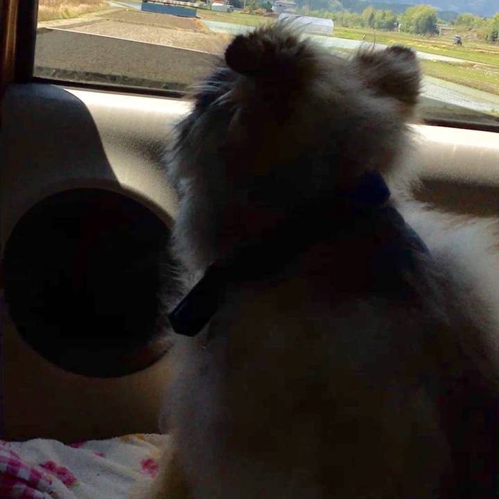 31b939f8 df06 4f88 ad23 d81b1a67bb7b 1651044594476