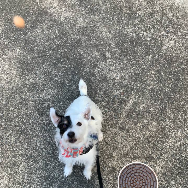 31b93c6b 254f 4109 8ab1 100856ee611c 1755298524831