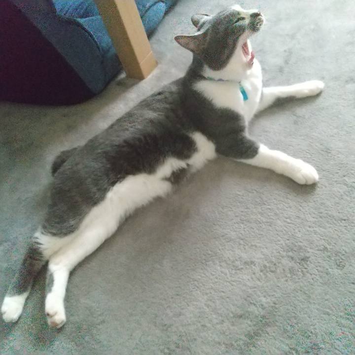 31b952c5 1ee9 40ba 8f67 01d12f8994db 1651738343744