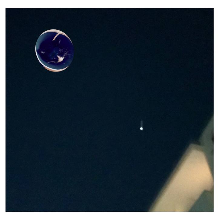 31b95960 0945 407a 9d2d 0856b444a926 1611049409046