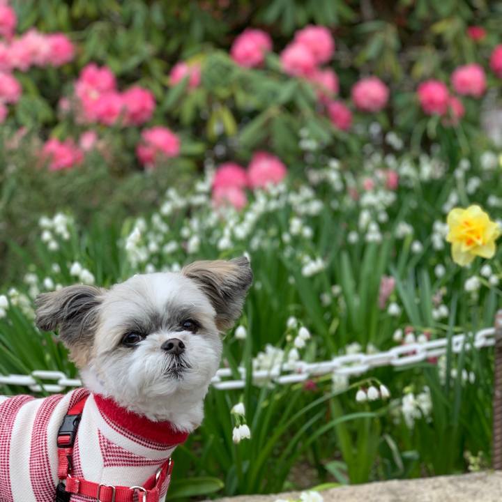 31b97f39 f8d6 439e a03d f0d9127308cf 1584927606810