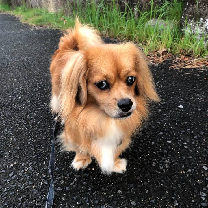 31b99012 bbf4 4e8c 8ea6 8e36fd8b4dfd 1536789515294