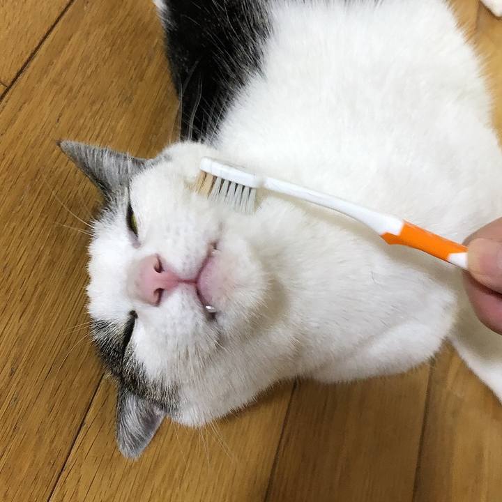 31b99718 ca41 458d 8d6c bcdf6aa2053e 1661330741990