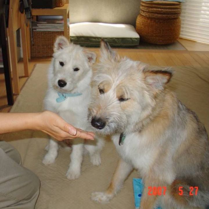 31b9bfa2 d572 44e9 ae6b 1489a7a3d879 1774424707452