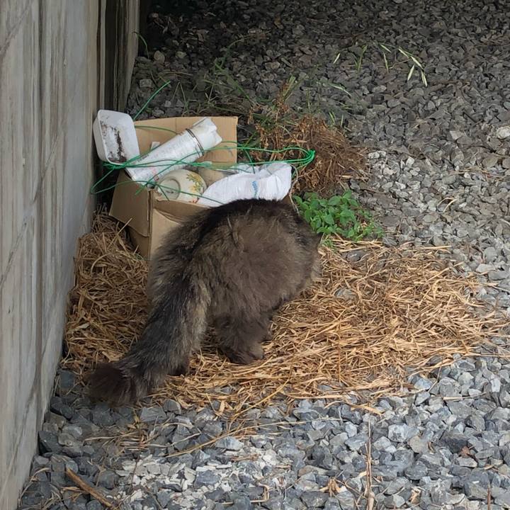 31b9f89d 36bb 4480 bb22 cb9c44cfccfc 1559128159632