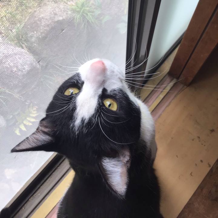 31b9fda3 3857 4f8e 969b 4a8d2c578958 1648272668477