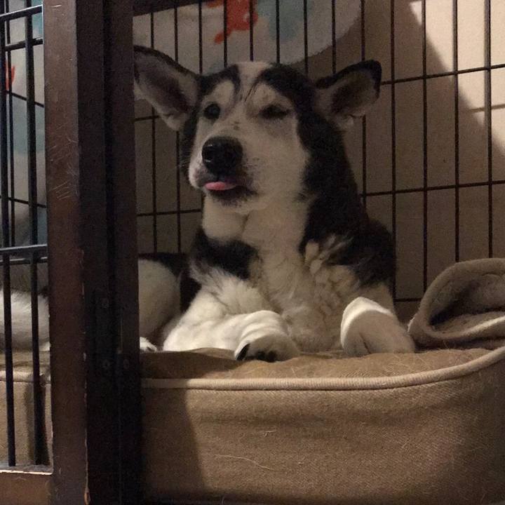 31ba36d4 91c2 424a aae2 70f414ae05a1 1566655817053