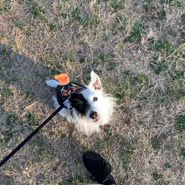 31ba44c1 20b2 4058 90e4 acbb061f0e72 1678779200251