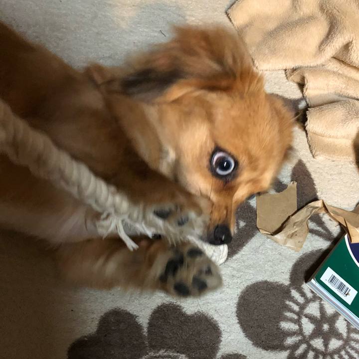 31ba79ed 0961 4530 bc4c fbdfd8113dd2 1510090655569