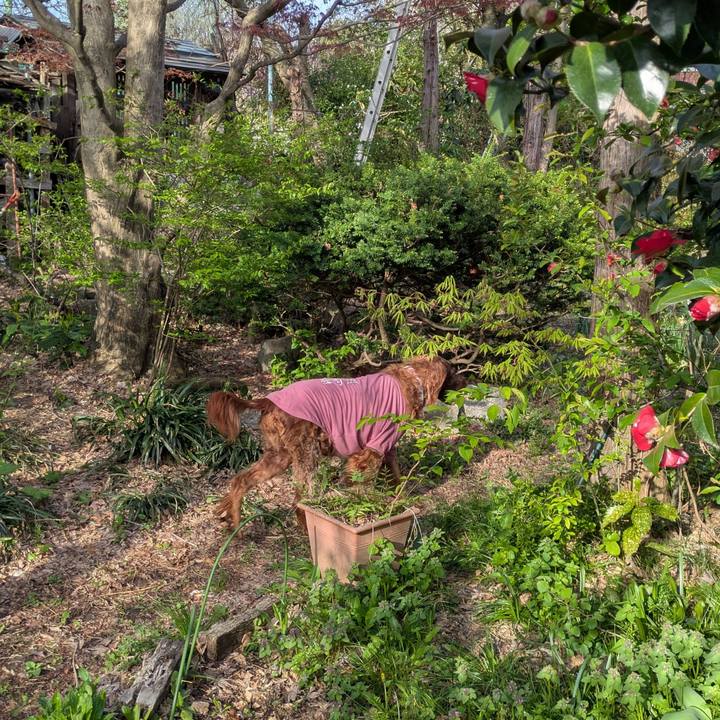 31ba8e9a cafe 49c0 8ccc e1ae85b2a025 1776896707902