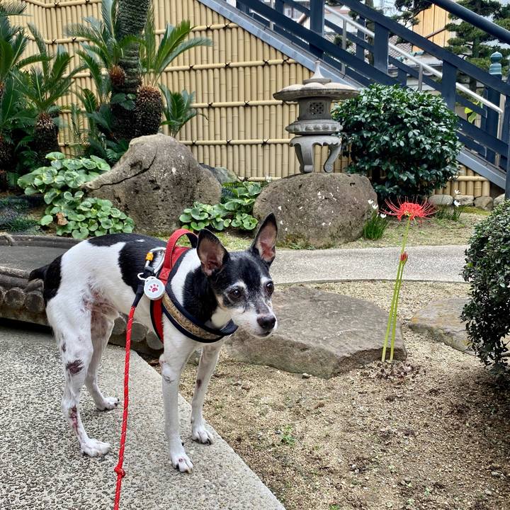 31bac27f c5ea 4571 809d 16421e02c3b8 1632130517220